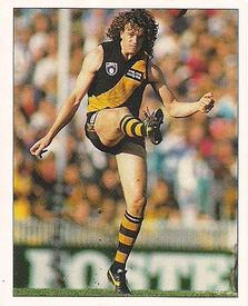 1994 Select AFL Stickers #200 Brendon Gale Front